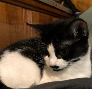 Meet your Posher, Shay